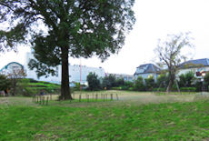 吉祥寺西公園