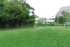 宮本小路公園