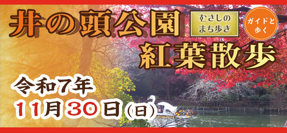 ガイドと歩く むさしのまち歩き 『井の頭公園紅葉散歩』の画像・写真